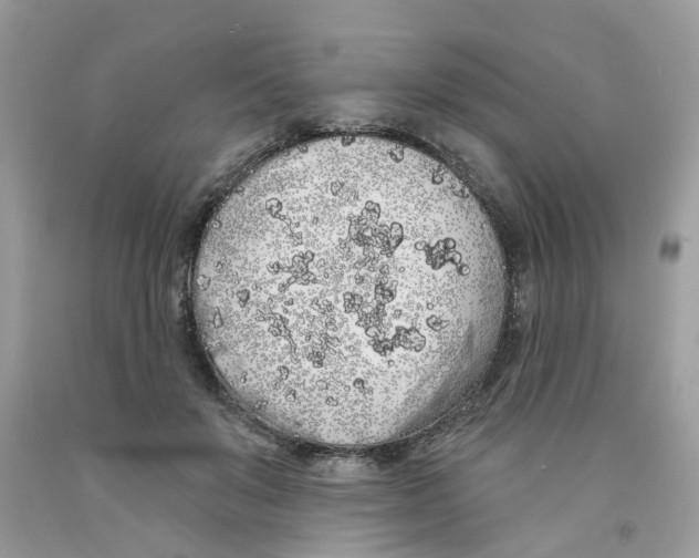 X0000091530503200709141438