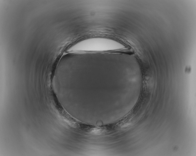 X0000091530504200709141438