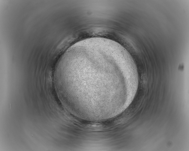 X0000091530506200709141438