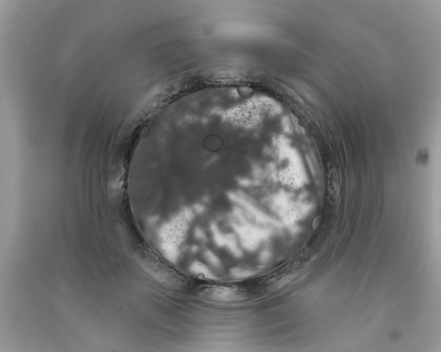 X0000091530507200709141438