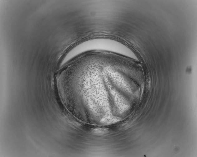 X0000091530508200709141438