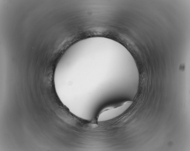 X0000091530509200709141438