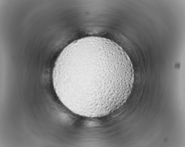 X0000091530510200709141438