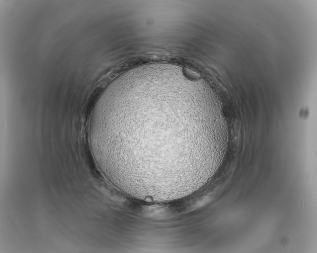 X0000091530511200709141438