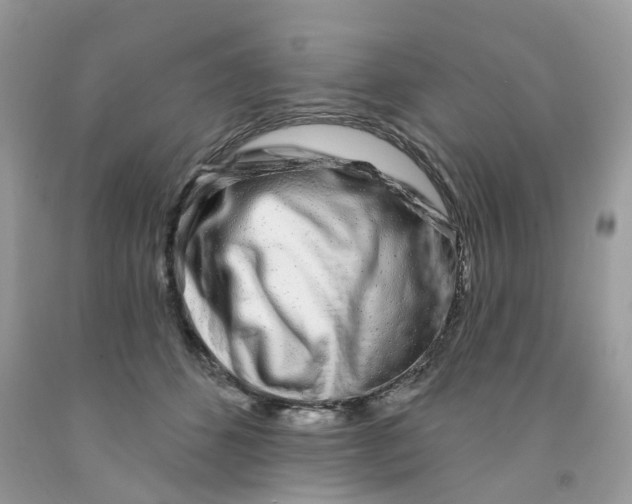 X0000091530512200709141438