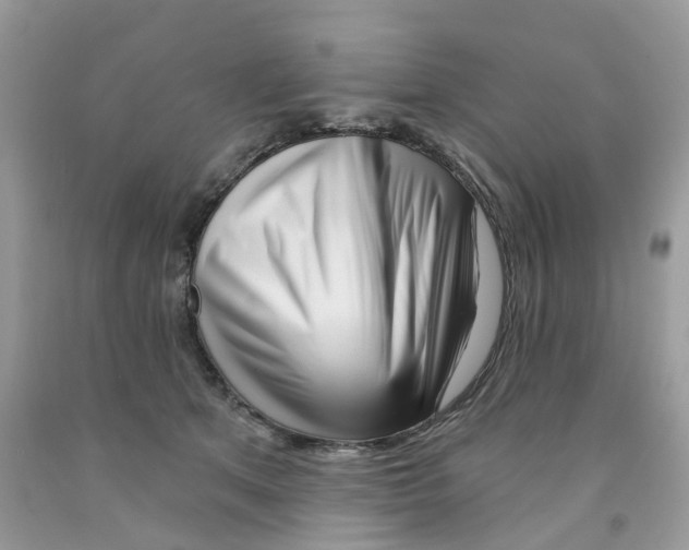 X0000091530513200709141438