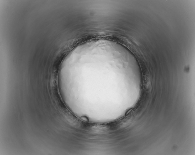 X0000091530515200709141438