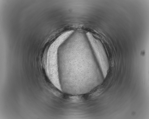 X0000091530516200709141438