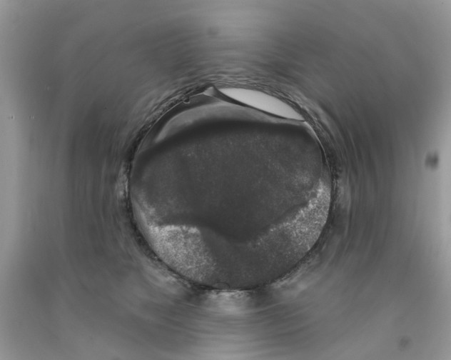 X0000091530517200709141438