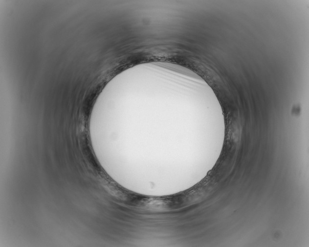 X0000091530518200709141438