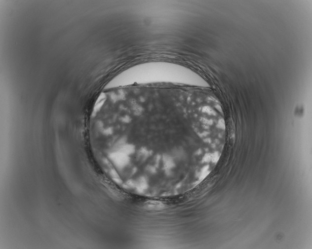 X0000091530519200709141438
