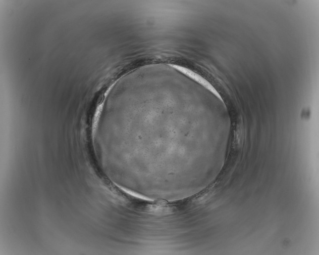 X0000091530520200709141438