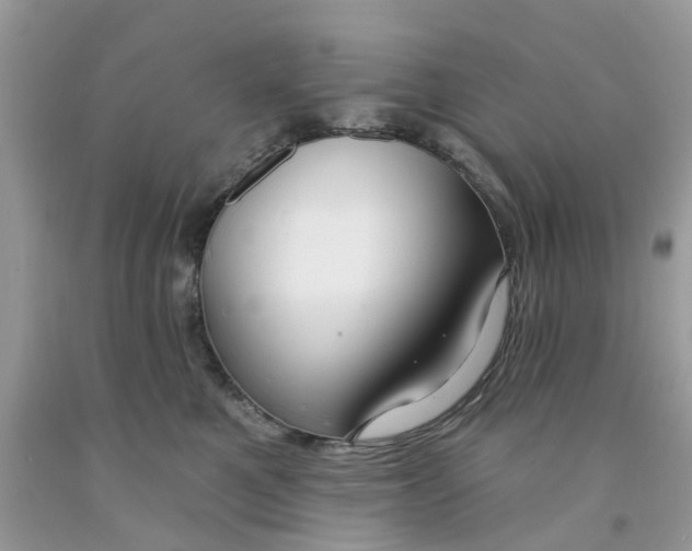 X0000091530521200709141438