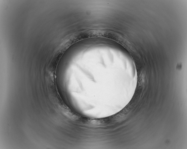 X0000091530522200709141438