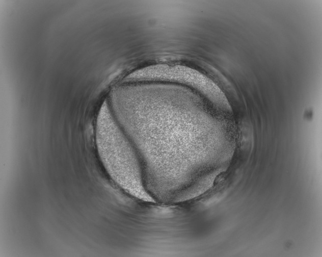 X0000091530523200709141438