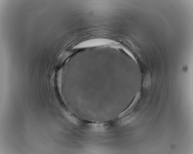 X0000091530524200709141437
