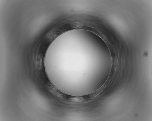 X0000091530525200709141437