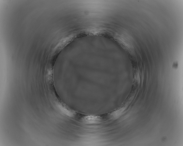 X0000091530526200709141437