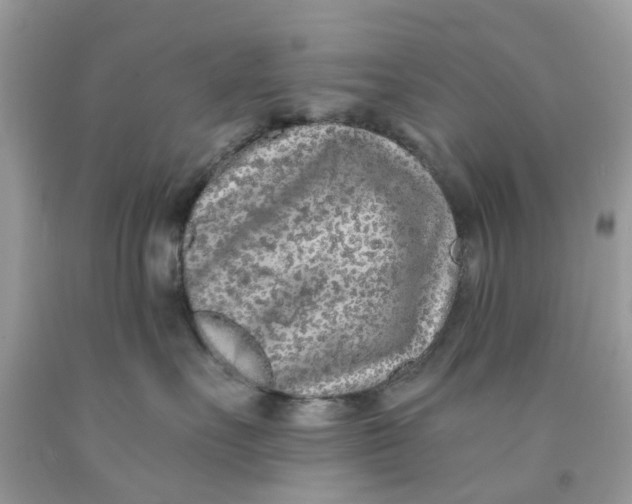 X0000091530527200709141437