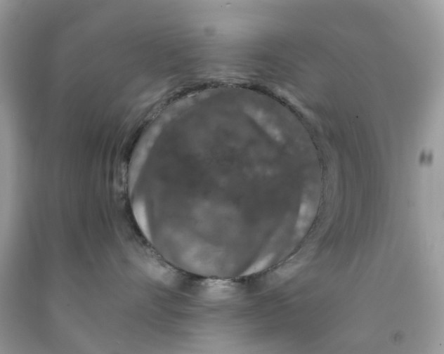 X0000091530528200709141437