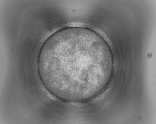 X0000091530529200709141437
