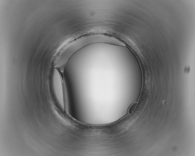 X0000091530530200709141437
