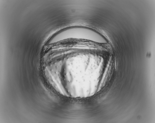 X0000091530531200709141437