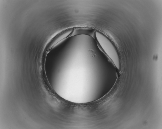 X0000091530532200709141437