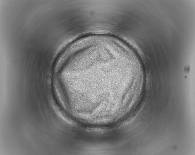 X0000091530533200709141437