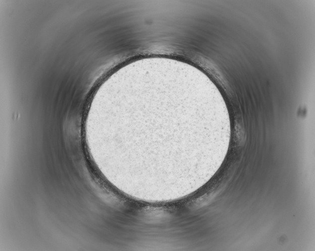 X0000091530534200709141437