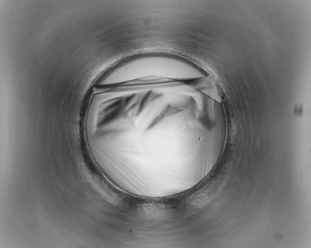 X0000091530535200709141437
