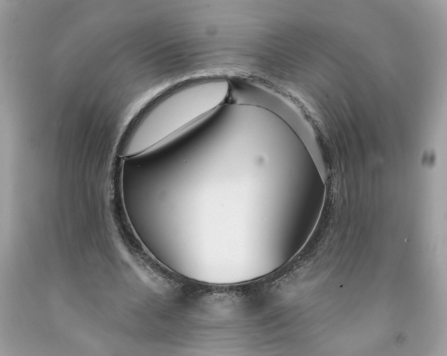 X0000091530536200709141437