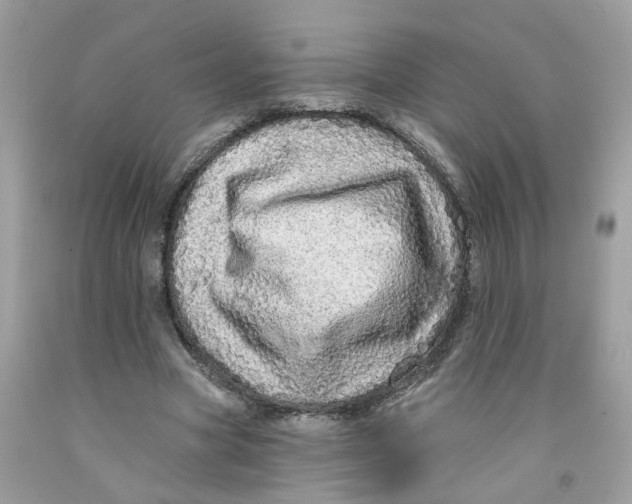 X0000091530537200709141437
