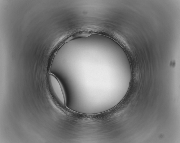 X0000091530538200709141437