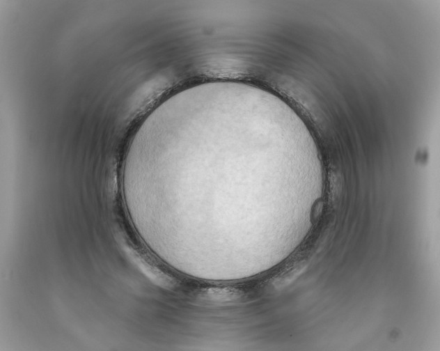 X0000091530541200709141437