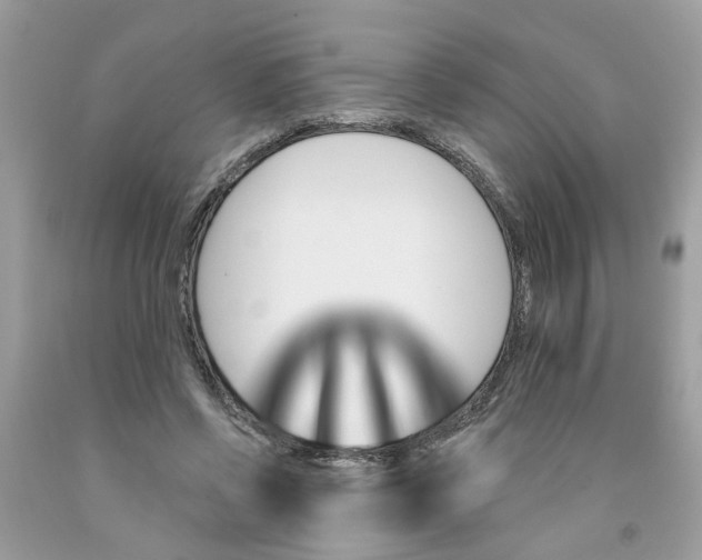 X0000091530542200709141437