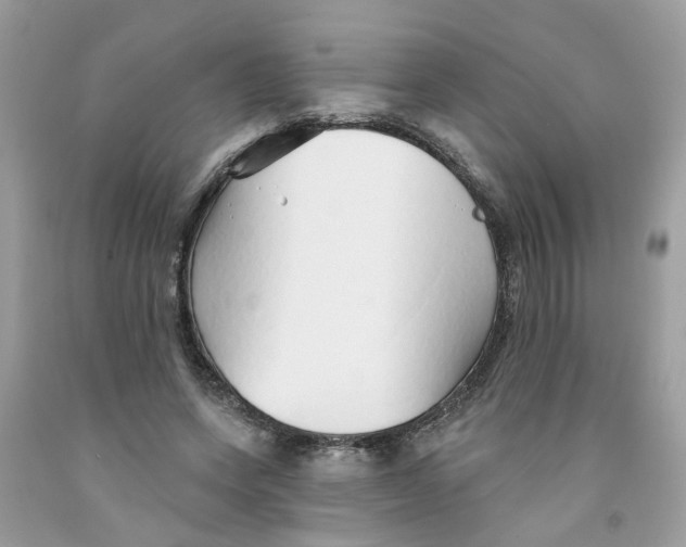 X0000091530543200709141437