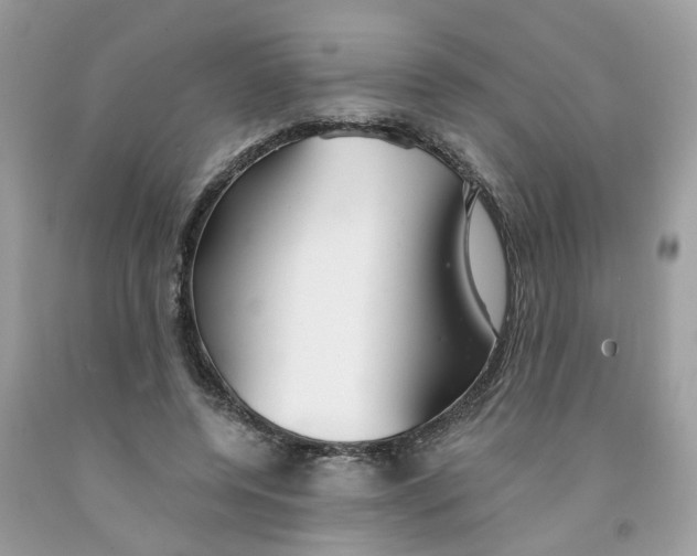 X0000091530544200709141437