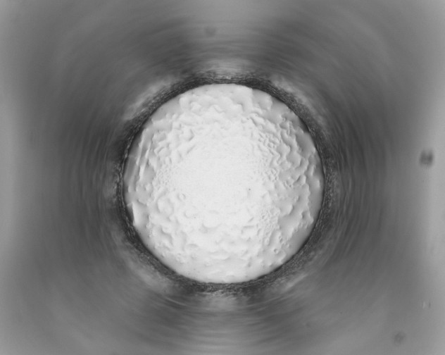 X0000091530545200709141437