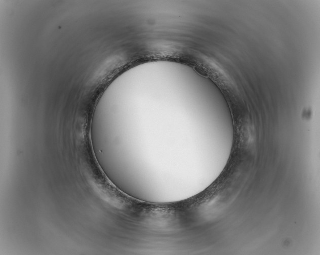 X0000091530546200709141437