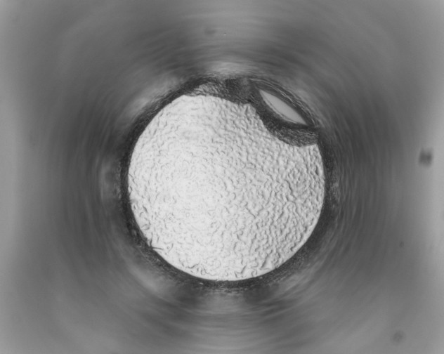X0000091530547200709141437