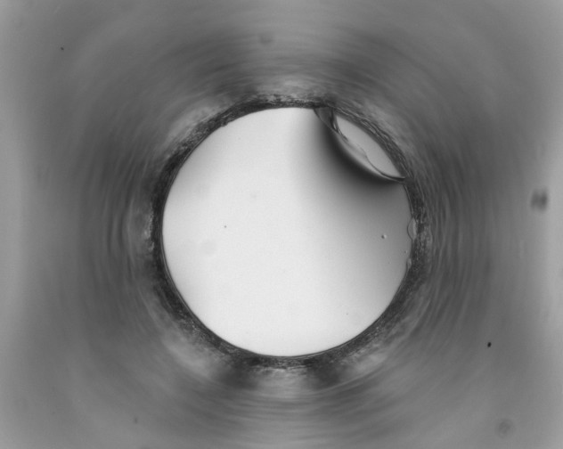 X0000091530548200709141437
