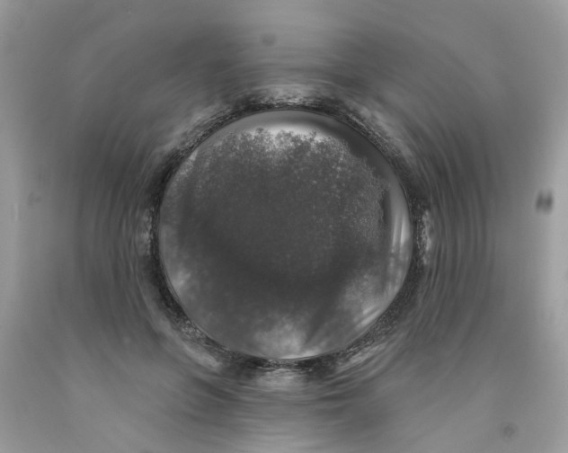 X0000091530551200709141437