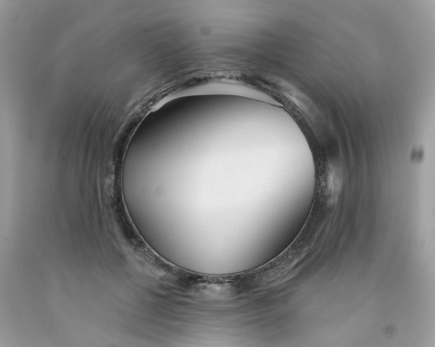X0000091530552200709141437