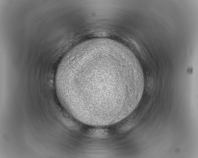 X0000091530553200709141437