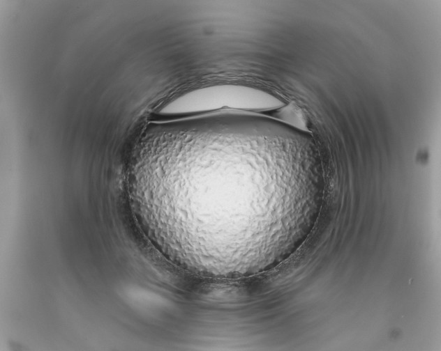 X0000091530555200709141437
