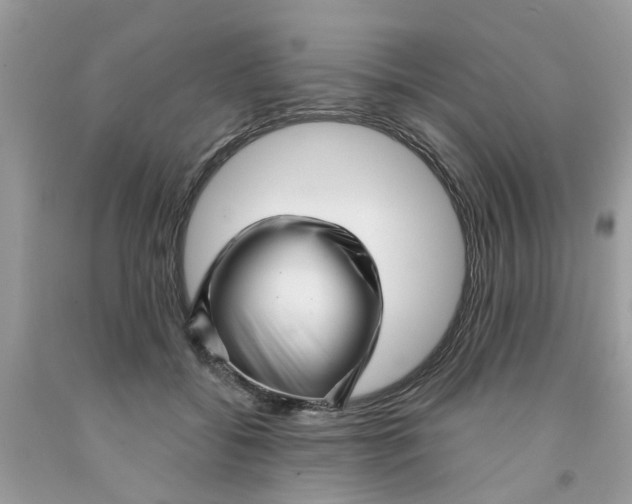 X0000091530556200709141437