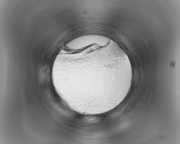 X0000091530557200709141437