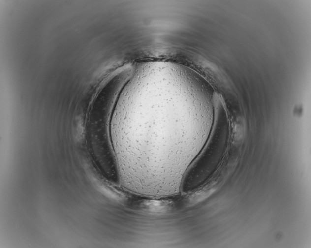 X0000091530558200709141437