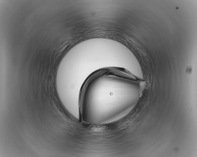 X0000091530560200709141437